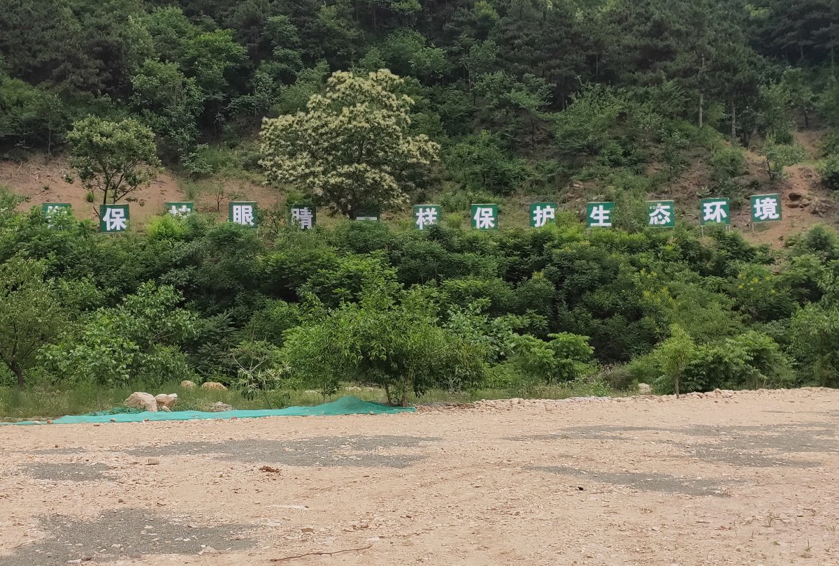 金属字